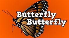 a butterfly with the words butterfly butterfly on it's back and an orange background