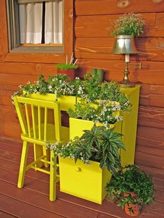 two yellow chairs with plants growing out of them next to a wooden wall and window