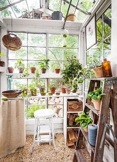 a room filled with lots of plants and potted plants inside of a glass house