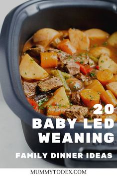 baby led weaning family dinner ideas with text overlay that reads, 20 babyled weaning family dinner ideas