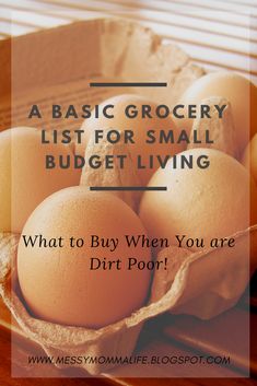 eggs in a basket with the words, a basic grocery list for small budget living what to buy when you are dirt poor