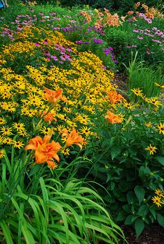 many different colored flowers in a garden