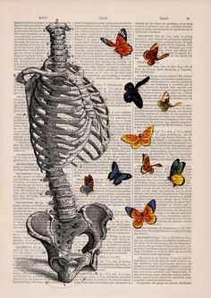 a skeleton with butterflies flying around it and the words love people, do good