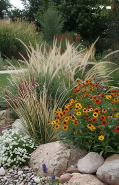 a garden with rocks and flowers in it