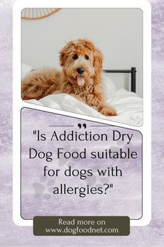 a brown dog laying on top of a bed next to a white sign that says,'it's addition dry dog food suitable for dogs with allergies?