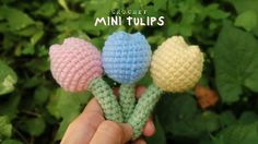 crochet mini tulips in pastel colors