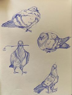 sketches of birds sitting on top of a piece of paper