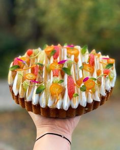 a hand holding a pastry with fruit toppings on it's top and bottom