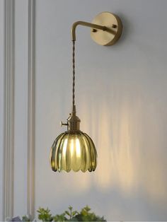 a wall light hanging from the side of a white wall next to a potted plant