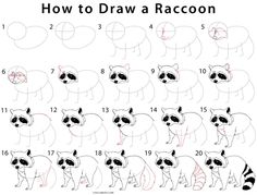 how to draw a cartoon raccoon step by step drawing instructions for kids and beginners