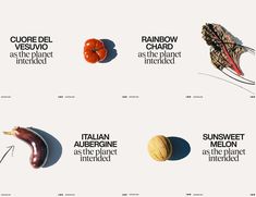 an image of different fruits and vegetables with words describing the names in each one's language