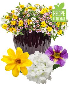 various flowers in a vase on a white background