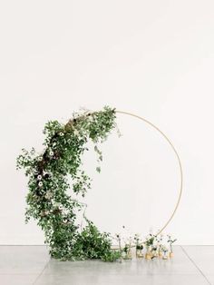 a circle with flowers and greenery on the floor in front of a white wall