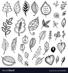 a collection of hand drawn autumn leaves