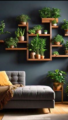 Above the Couch Wall Decor Ideas