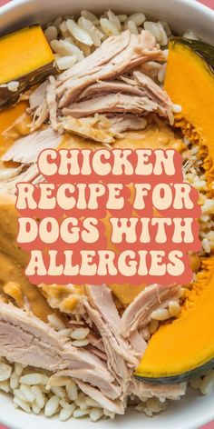 chicken recipe for dogs with allergies in a white bowl on top of rice