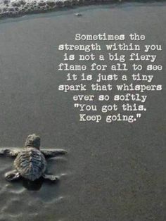 a sea turtle laying on top of a beach next to the ocean with a poem written in it