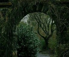 an archway in the middle of a garden with vines growing on it's sides