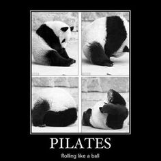 four pictures of panda bears with caption saying pilates rolling like a ball