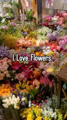 many different types of flowers are arranged in a flower shop with the words, i love flowers