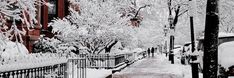 a snowy street with cars parked on the side and trees covered in snow next to buildings