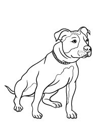 a black and white drawing of a dog with a collar on it's neck