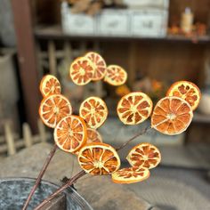 an arrangement of dried oranges in a bucket