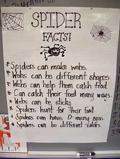 a sign posted on the side of a refrigerator in front of a spider - web