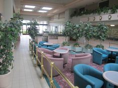 an empty lobby with blue and pink chairs, tables and potted plants on the wall