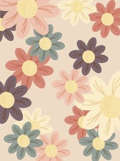 an image of colorful flowers on a pink background