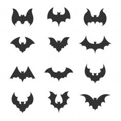 the silhouettes of bats in different shapes and sizes, all black on white background