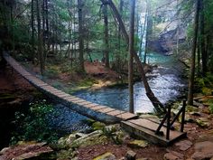 a wooden bridge over a river in the woods