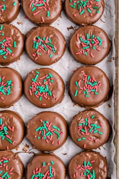 chocolate frosted donuts with sprinkles in a baking pan, ready to be eaten