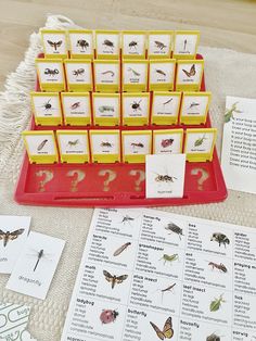 a table topped with lots of different types of insect cards and magnets on top of it