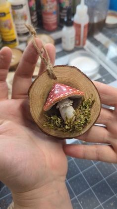 a person holding a tiny mushroom in a piece of wood