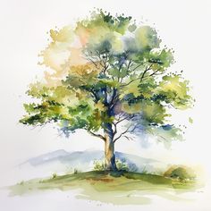 Tree Tattoo Color, Watercolour Trees, Oak Tree Tattoo, Painting Trees, Tree Mural, Tattoo Color, Watercolor Paintings For Beginners