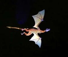 a lit up dragon flying in the dark