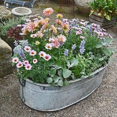 a metal tub filled with lots of flowers