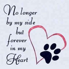 a dog paw and heart with the words no longer by my side but forever in my heart