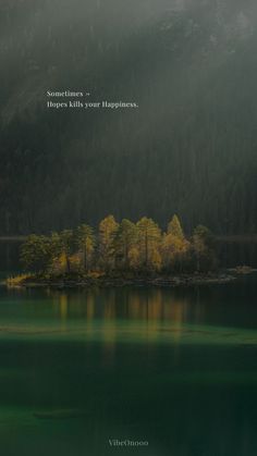 a lake surrounded by trees with a quote above it that reads sometimes, there's not happiness