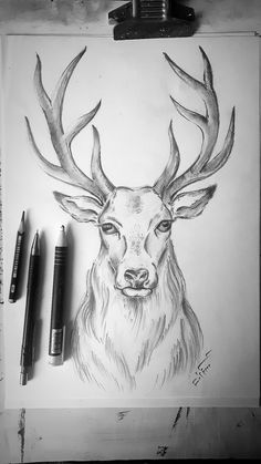 a drawing of a deer with antlers on it's head and two pens next to it