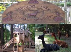 an animal sanctuary sign with animals in the background