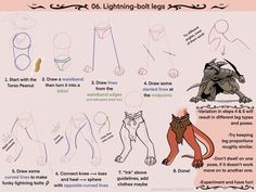 the instructions for how to draw an animal