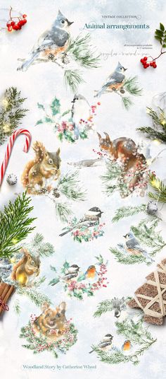 Vintage Watercolor collection, Christmas handpainted watercolor realistic drawing clipart, animal, cute christmas animal and bird composition, cute new year arrangements with winter  birds, blue bird, chickadee, blue tit,tufted titmouse, bullfinch, squirrel, mouse, covered in snow,snowflakes, golly berry, poinsettia, winter red berries, coniferous, soruce,cedar,pine,pine cone, winter plants, for floral frame, wreath, greeting card, poster, vintage christmas greeting card design, cute crafts Framed Art Inspiration, Drawing Clipart, Cute Frames