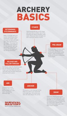 the ultimate guide to archery basics for beginners and avids - infographia com