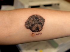 Poodle Tattoo, minimalist poodle tattoo, poodle tattoo ideas, toy poodle tattoo, poodle tattoo outline, standard poodle tattoo, simple poodle tattoo, geometric poodle tattoo, traditional poodle tattoo, black poodle tattoo, mini poodle tattoo, small poodle tattoo, cute poodle tattoo, realistic toy poodle tattoo, poodle tattoo designs, minimalist toy poodle tattoo, small simple poodle tattoo, minimalist poodle tattoo designs, french poodle tattoo, poodle tattoo images, cartoon poodle tattoo Poodle Outline Tattoo, Poodle Outline