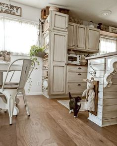 a cat standing in the middle of a kitchen