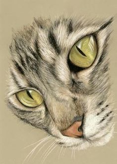 a drawing of a cat's face with green eyes and long whiskers