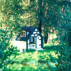 a small house sitting in the middle of a lush green field with trees around it