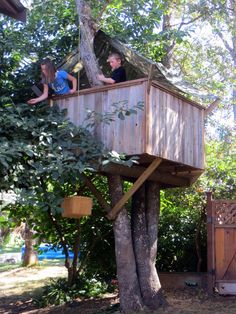 two children are sitting in the tree house